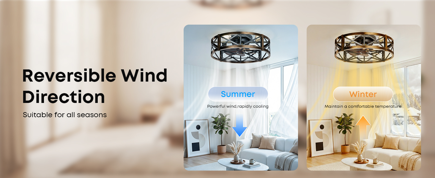Caged Ceiling Fan with Light and Remote