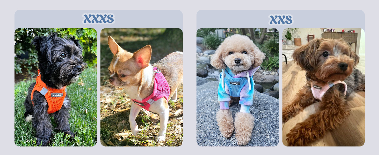 step in dog harness for small dogs XXXS XXS