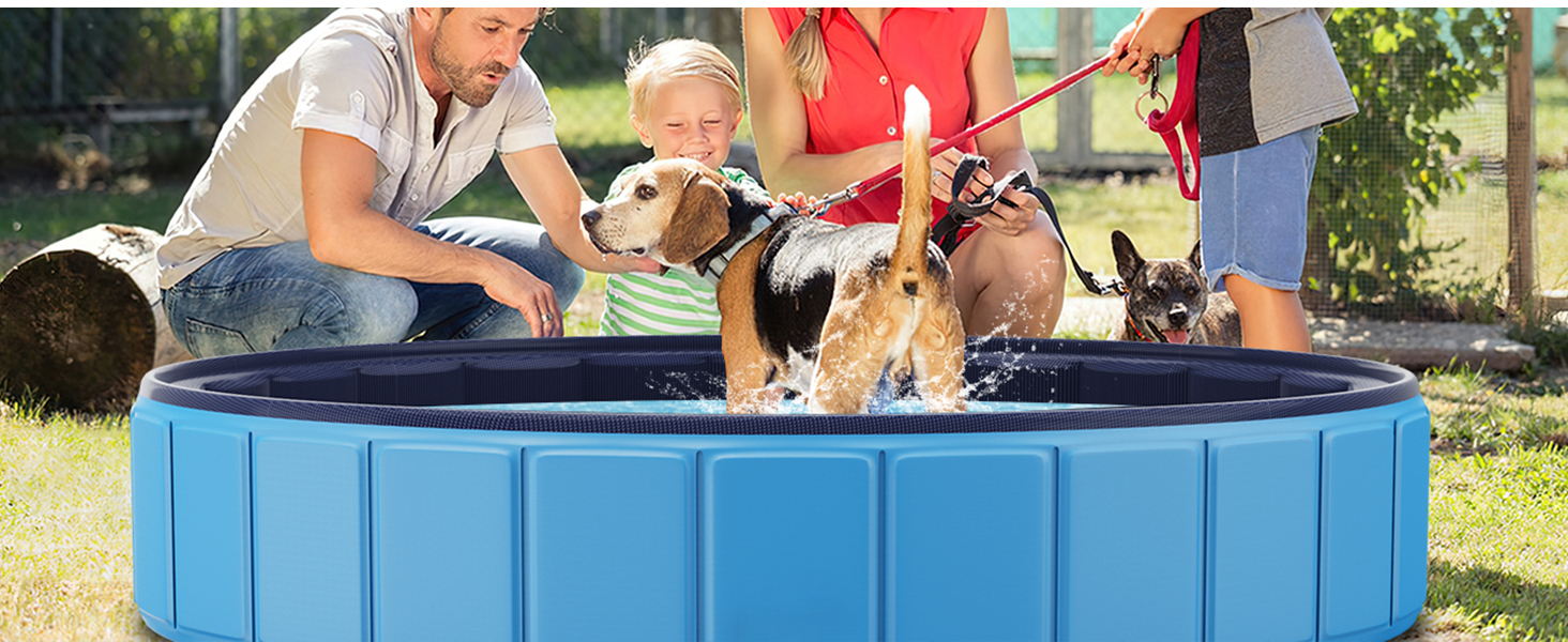 dog pool