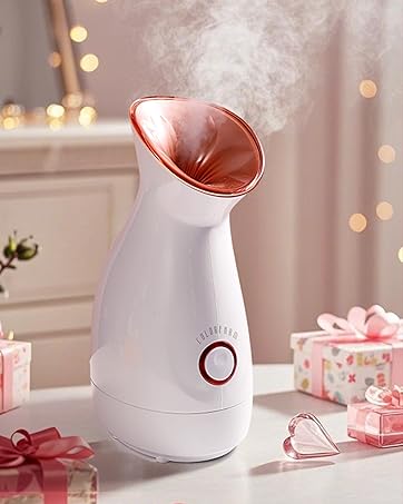 facial steamer