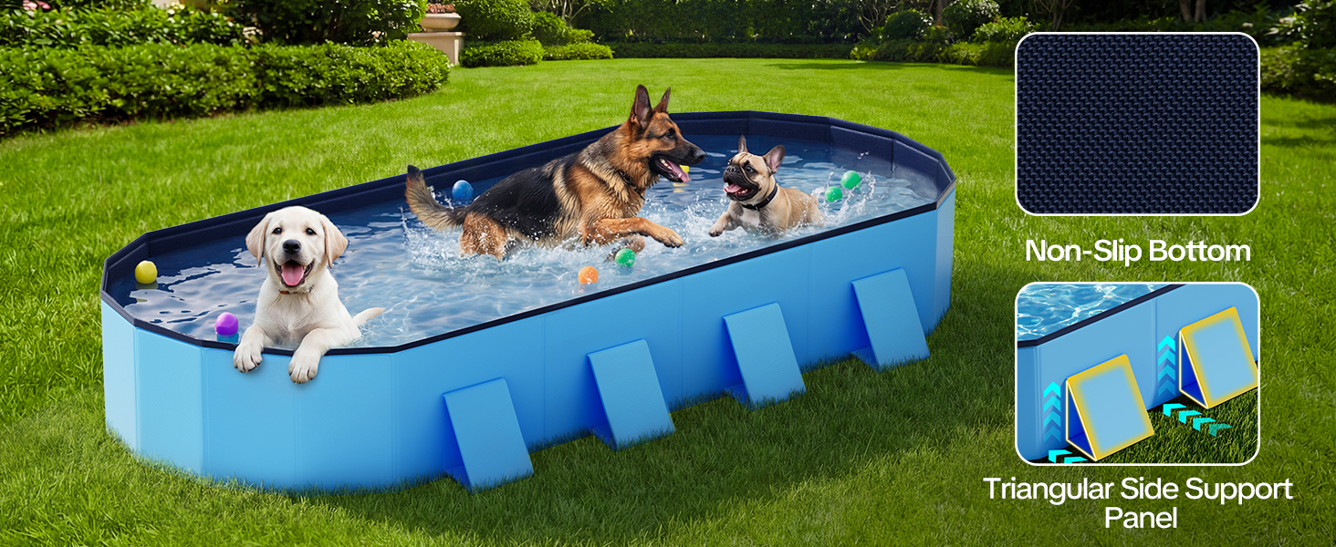 Dog Pool
