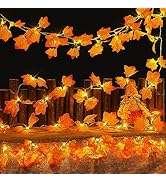 Hopolon 2Pack Fall Decorations for Home,Thanksgiving Lighted Fall Garland,Total 20Ft 40LED Maple ...