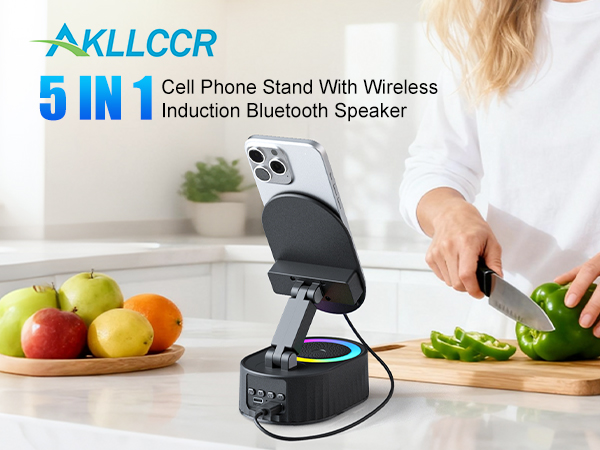 wireless induction speaker