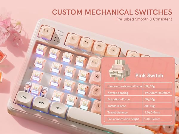 CUSTOM MECHANICAL SWITCHES