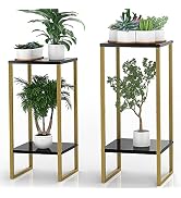 Moforoco 2Pack Tall Plant Stand Indoor, Metal Pedestal Planter Shelf Outdoor, Large Black Gold Fl...