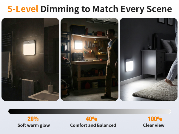 5-level Diming Ceiling light