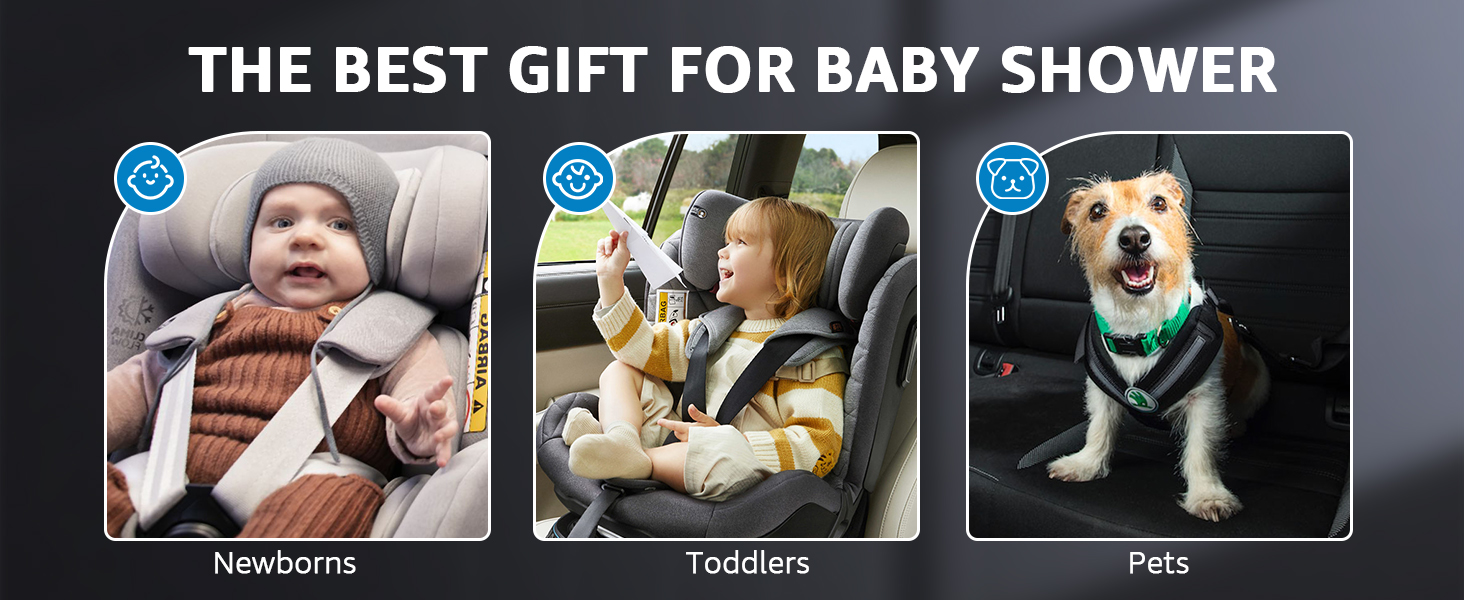 carseat camera