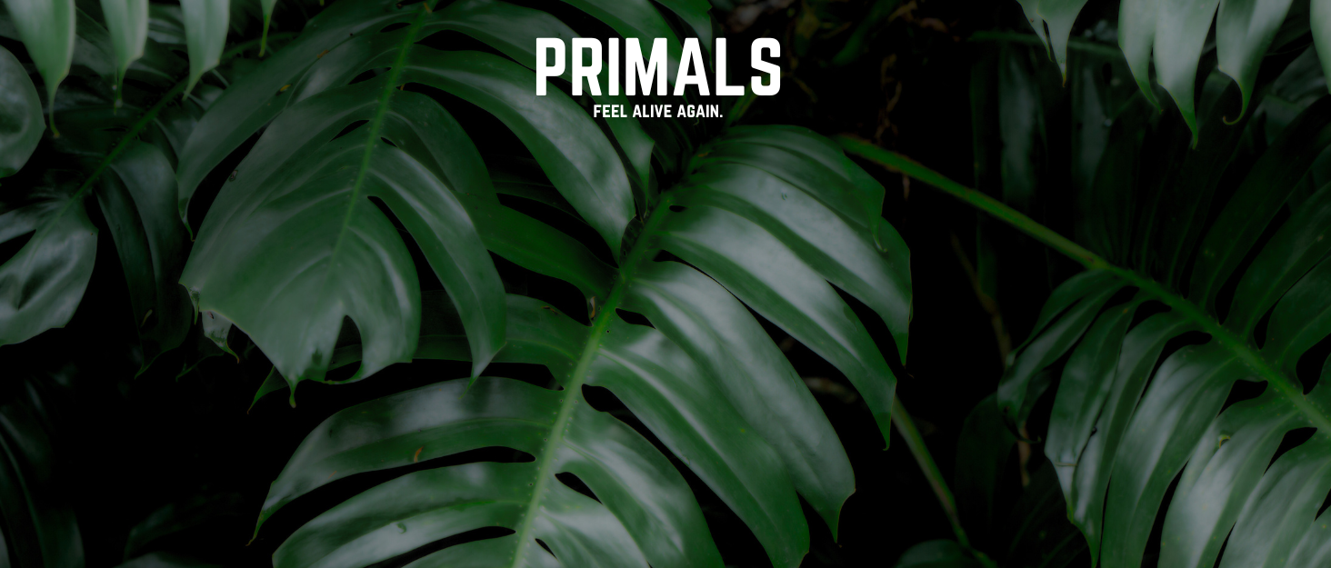 primals all natural products toxin free natural ingredients clean