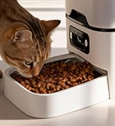 cat feeder for 2 cats smart