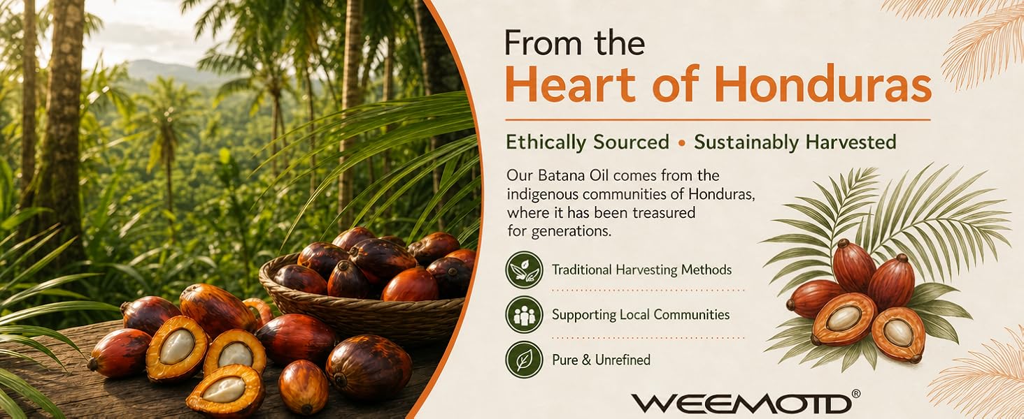 batana oil FROM HONDURAS