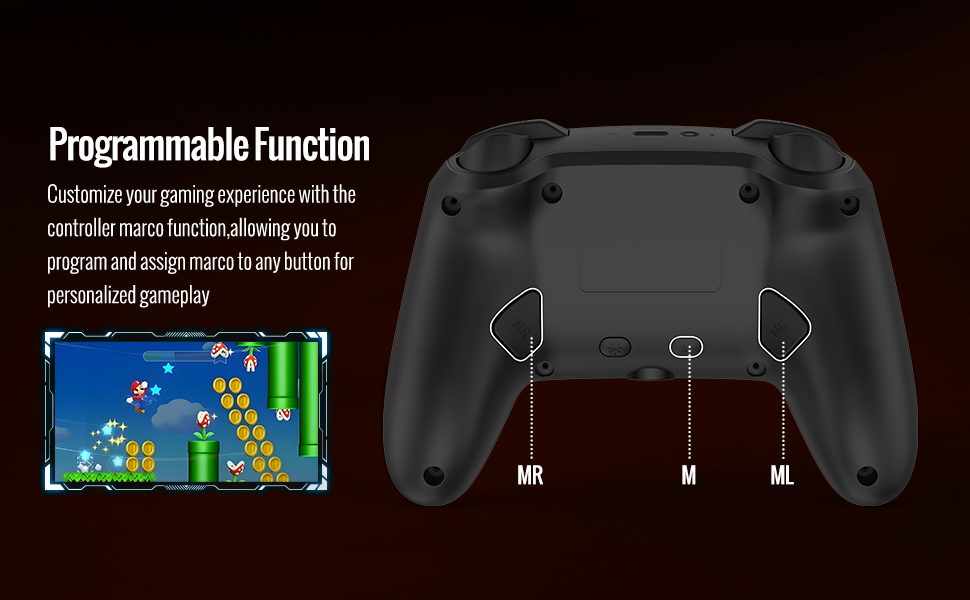 for switch 2 controller macro programming mapping