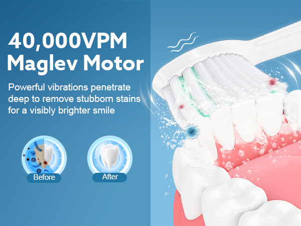 electric toothbrush for adult