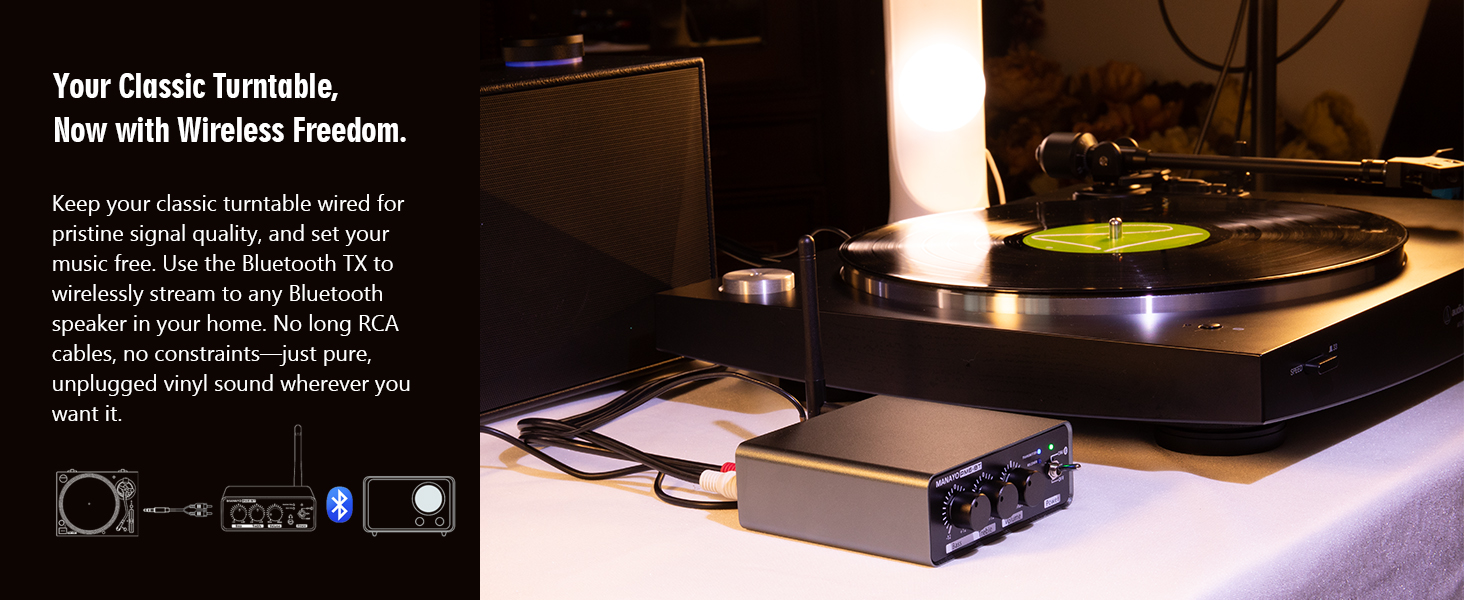 turntable preamp