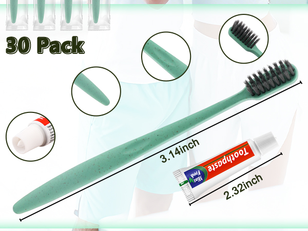 Disposable Toothbrushes with Toothpaste