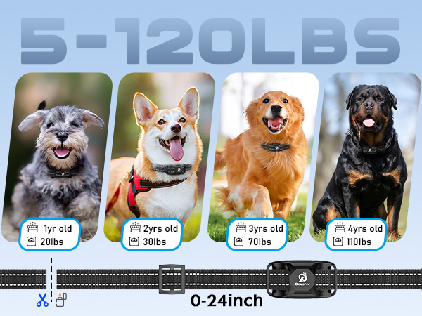 Bousnic Dog Training Collar Makes Everyday a Good Dog Day! 