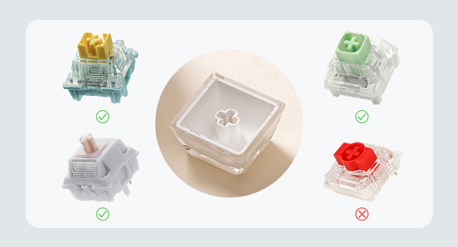 Lusterfly jelly kecaps set