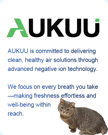 negative ion AIR Ionizers