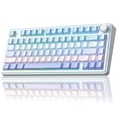 SOLAKAKA A75 75% Wireless Mechanical Keyboard, Hot Swappable Gaming Keyboard with Multifunction K...