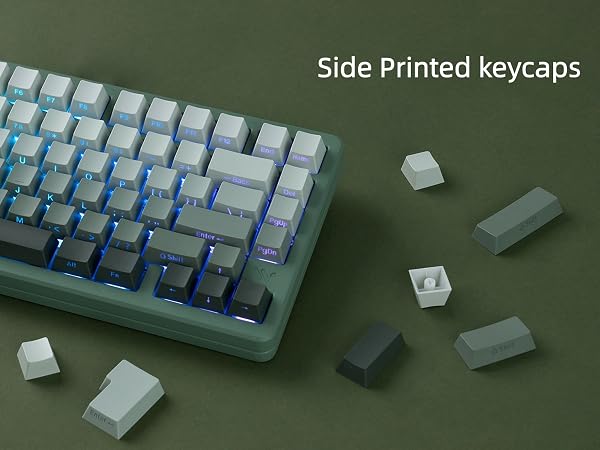 seaweed Double Shot PBT keycaps Set,Shine Through Keyboard keycaps Gradient 60% 75% 100%,OEM Profile