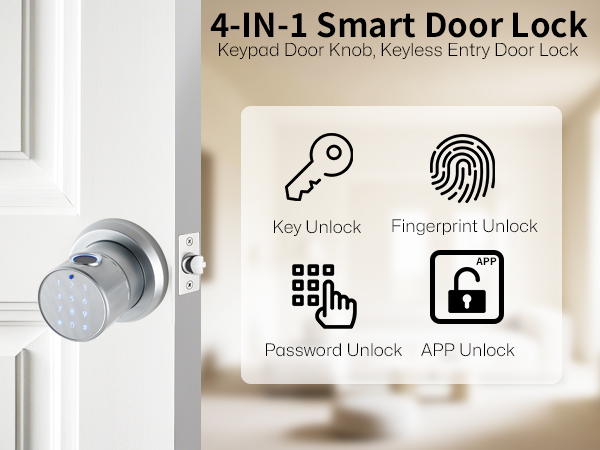 4-N-1 Smart Door Lock