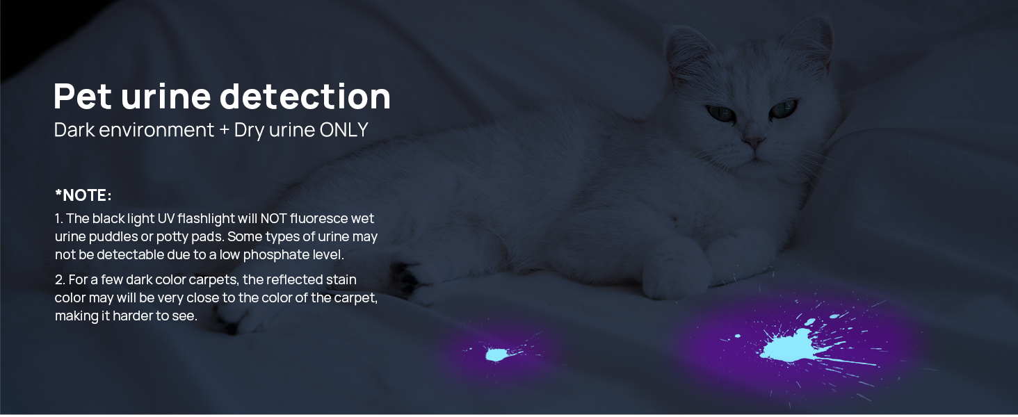 uv flashlight cat urine detector