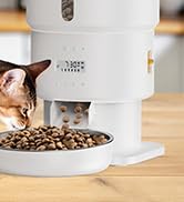 automatic cat feeder