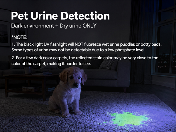 Pet Urine Detection