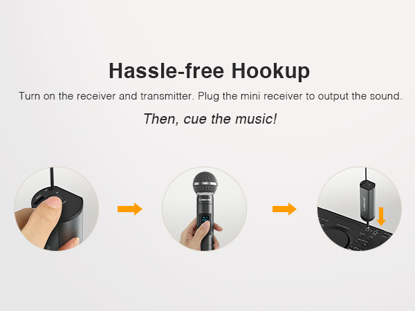 wireless mic