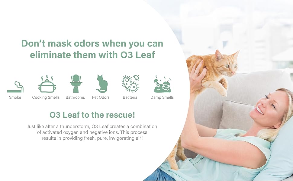 Pet safe air purifier