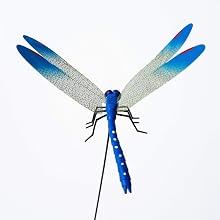 3D Dragonfly Clips