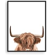 Haus and Hues Highland Cow Wall Art - Highland Cow Print and Bull Wall Art Cow Wall Decor Cow Pic...