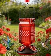 hummingbird feeder