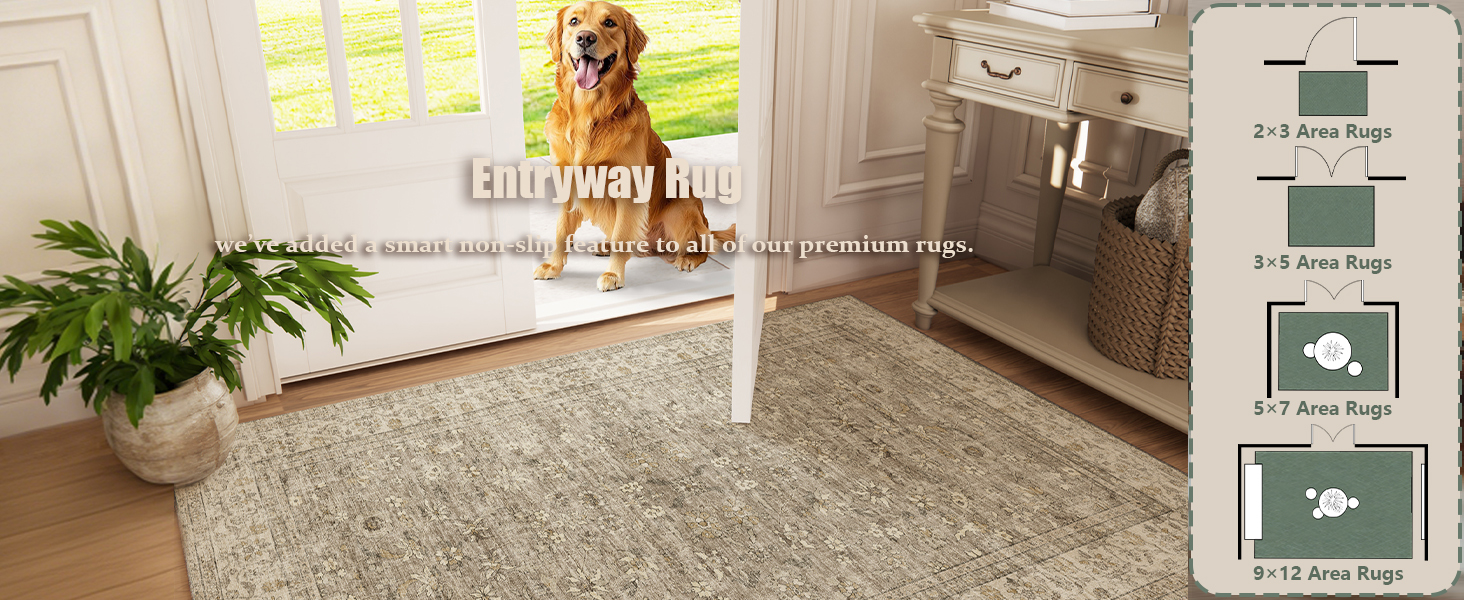 front door runner indoor entrance