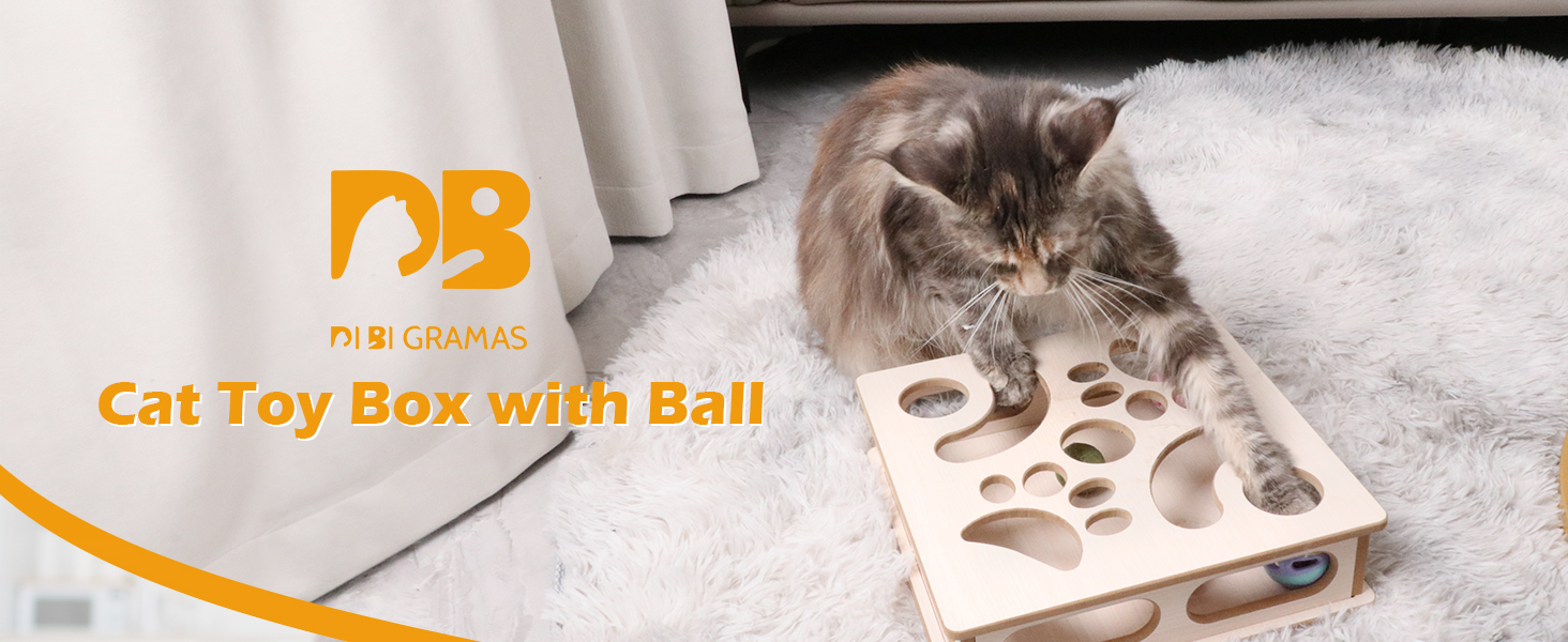 DI BI GRAMAS Cat Interactive Box Puzzle Toy
