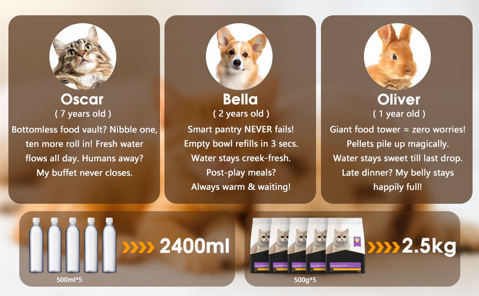 auto cat feeder dry food