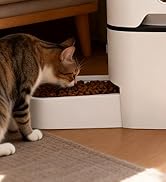 double cat feeder wifi