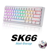 SK66