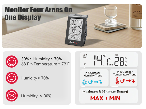 fridge thermometer