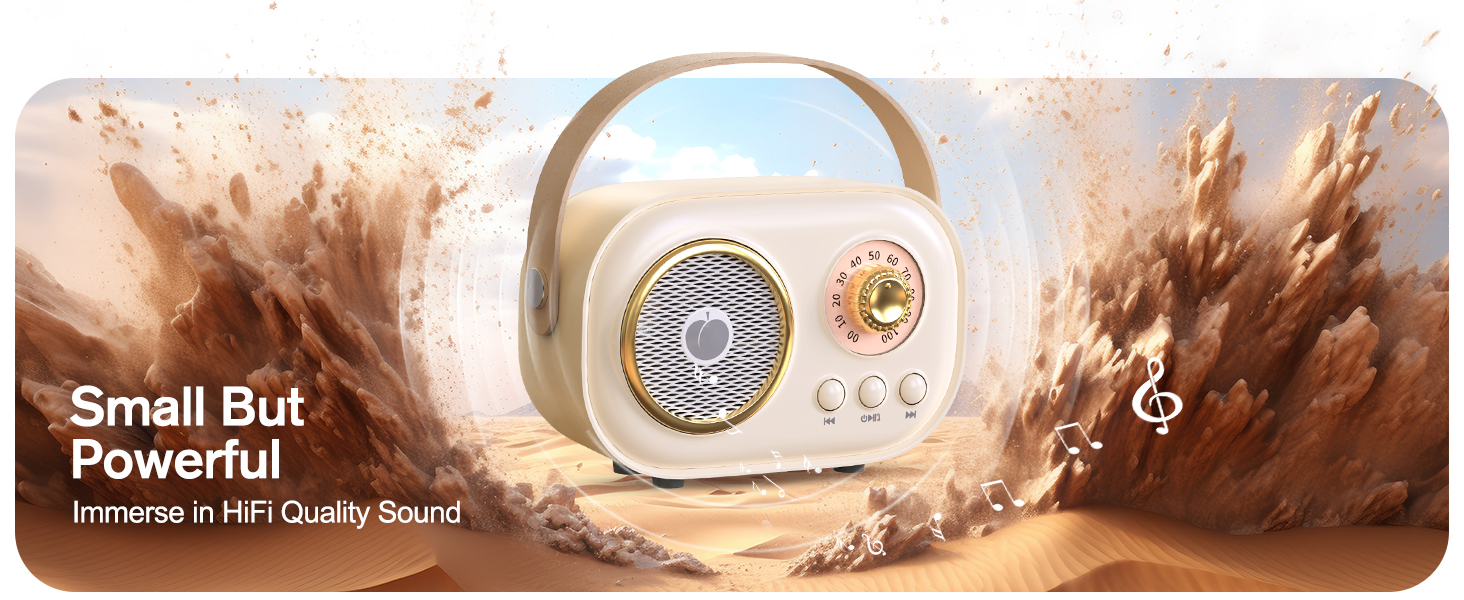 Karaoke Machine for Kids Adults