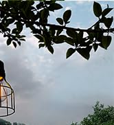 Solar Light Bulb, Outdoor Chandelier Hanging Lantern Solar Powered Dusk to Dawn Externsion Cable ...