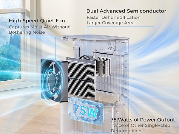 Dehumidifiers for Home