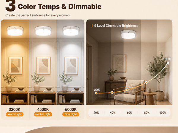 ceiling light with remote