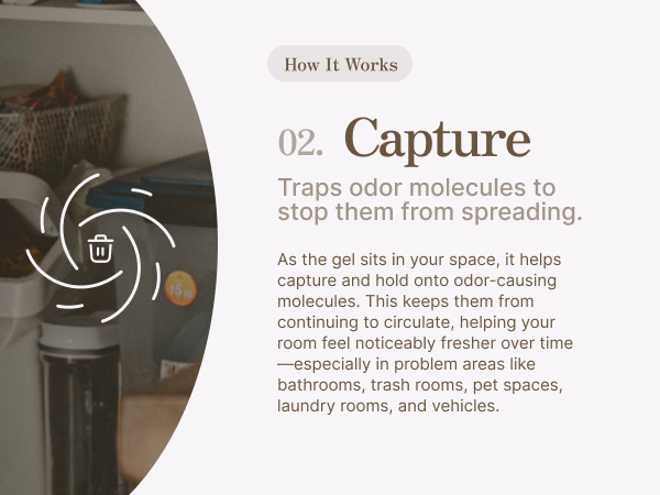 capture: traps odor molecules to stop them from spreading