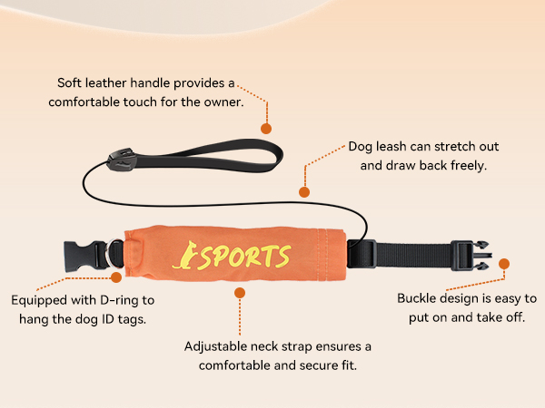 Dog Collar
