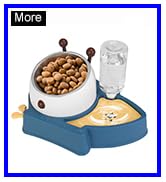 Double Dog Cat Bowls, 15° Tilted Raised Detachable Stainless Steel Cat Food Bowls and Water Feede...