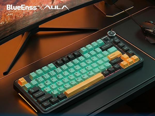 mechanical keyboard