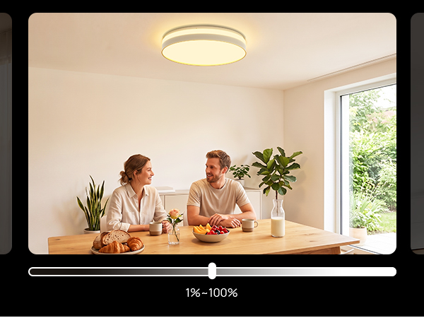 smart ceiling light