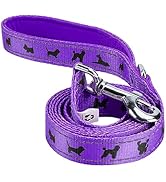 EcoBark Dog Leash - 4 FT / 5 FT / 6 FT Reflective Dog Leash- Eco-Bright Dog Leashes with Padded H...