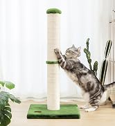 Karolpar cat scratching post