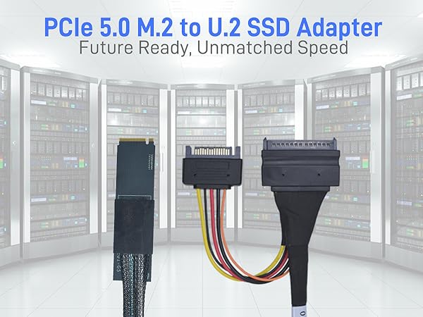 LetLinkSo Gen5 PCIe 5.0 U.2 to M.2 Adapter Card SFF-8639 to M2 NVMe SSD Cable